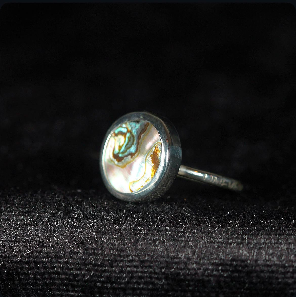 Abalone Shell