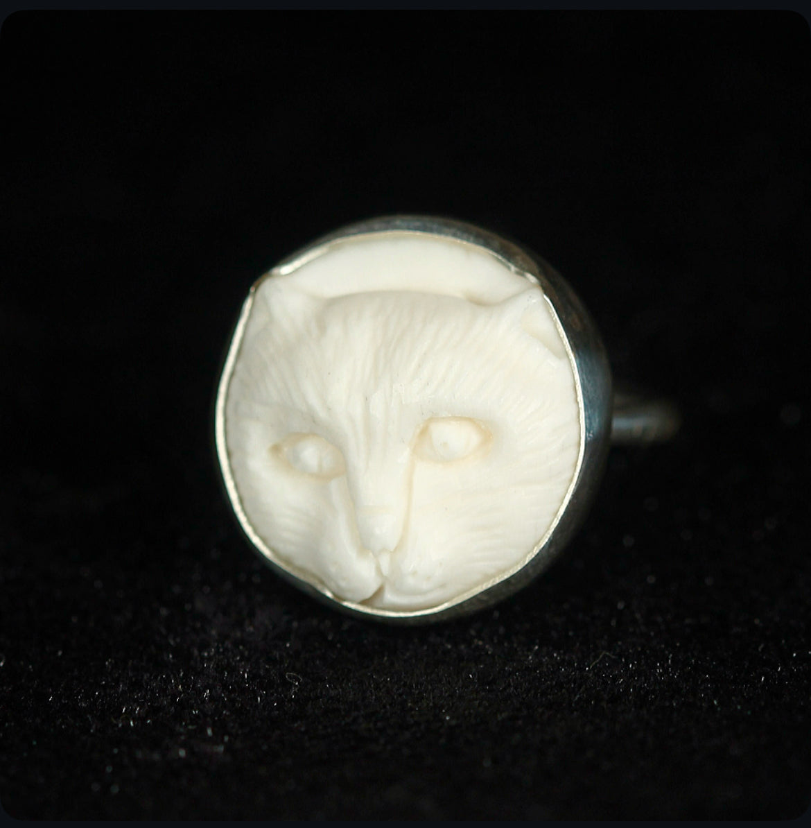 Feline Spirit