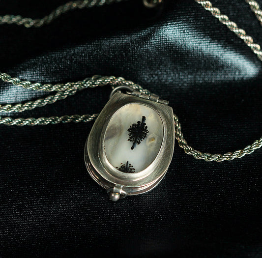 Scenic Locket Necklace