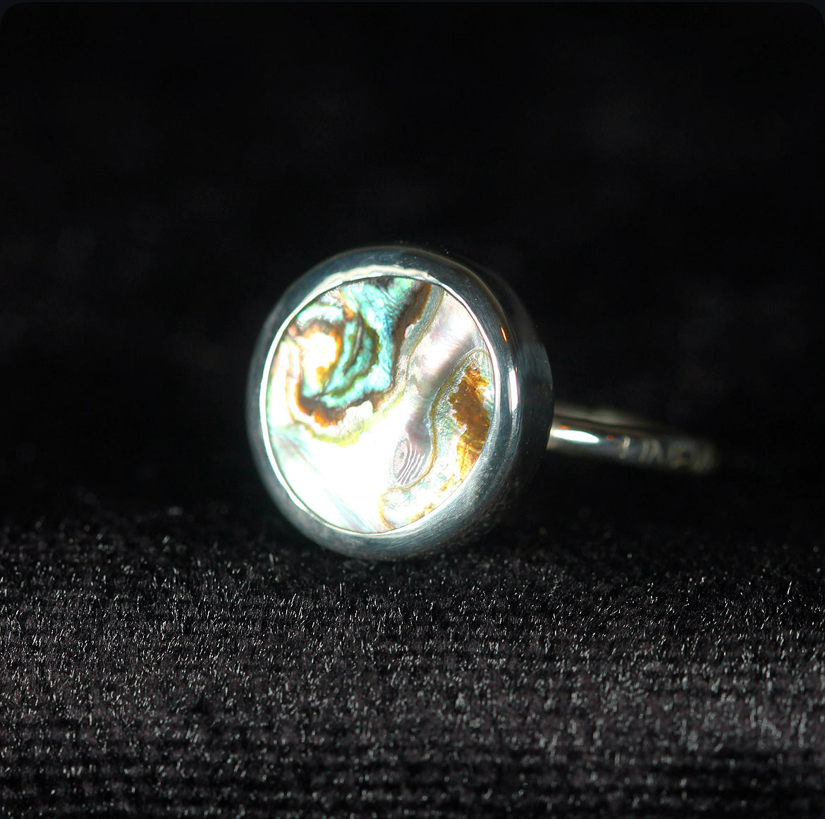 Abalone Shell