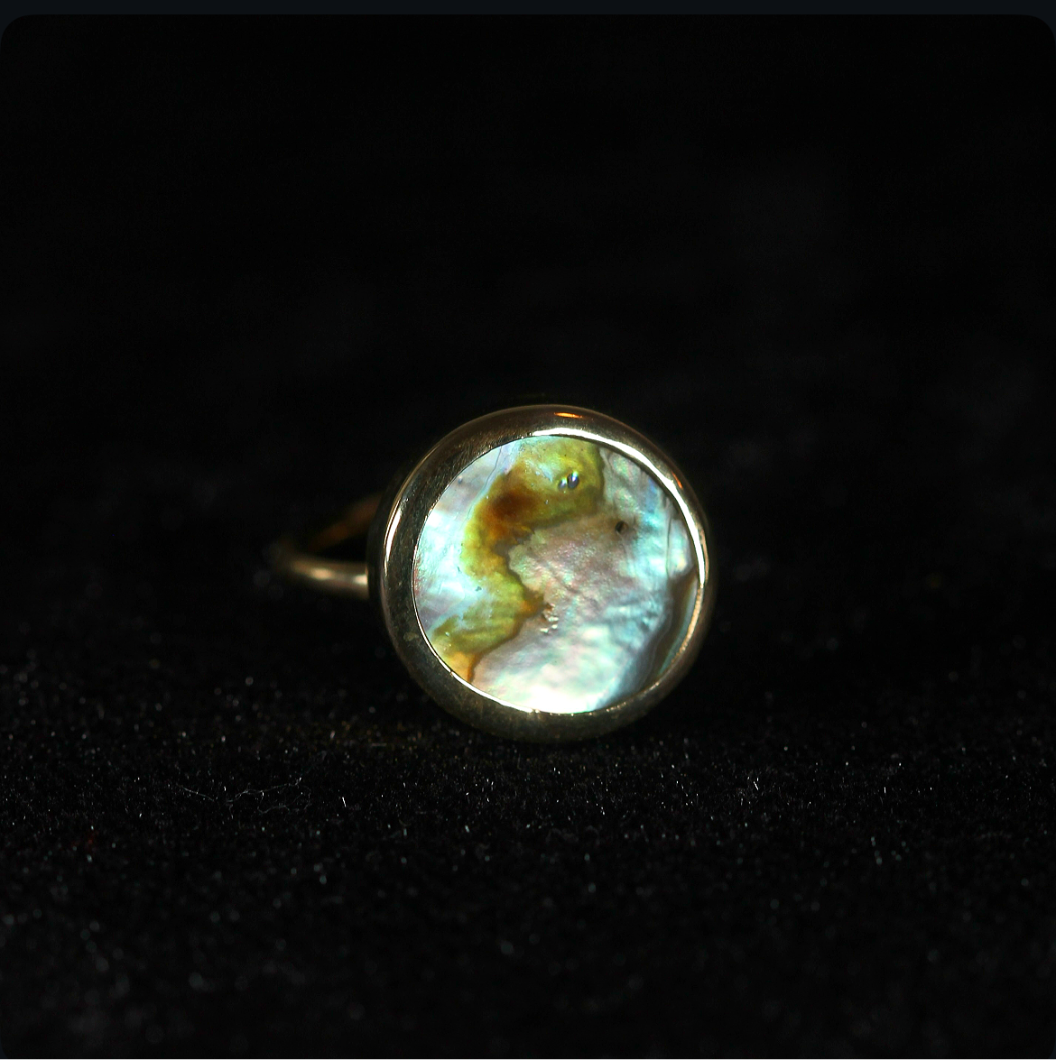 Abalone